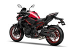 Accessories SE Performance Z900 Candy Persimmon Red 2024