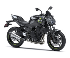 Accessories SE Performance Z650 Pearl Storm Gray 2024