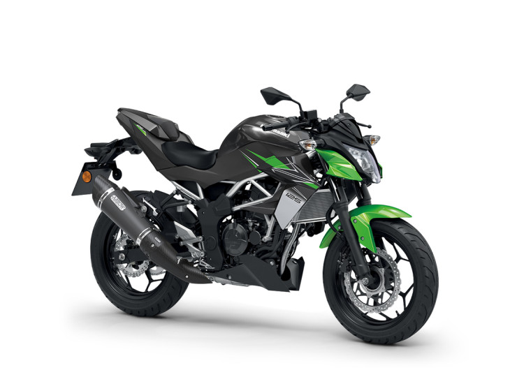 Accessories SE Performance Z125 Candy Lime Green / Metallic Spark Black 2023