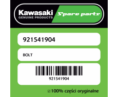 Śruba Kawasaki