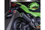 Sports exhaust Green Trim Remus