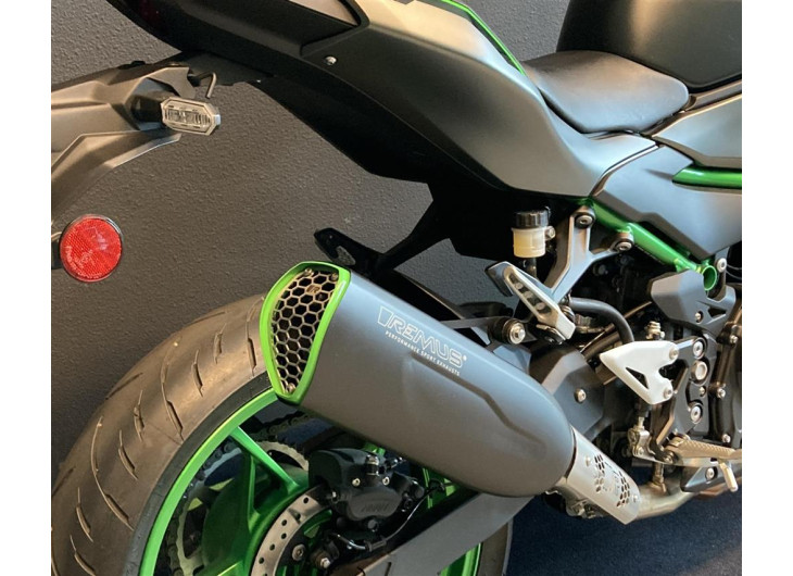 Sports exhaust Green Trim Remus