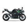 Ninja 500 2025