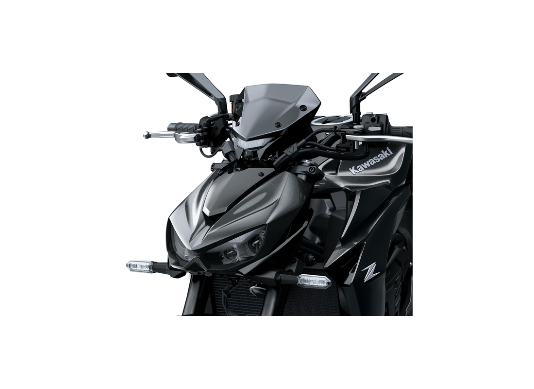 Тонований захист приладів Kawasaki