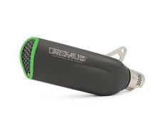 Sports exhaust Green Trim Remus