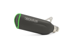 Sports exhaust Green Trim Remus