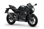 Pakiet SE Performance Ninja 125 Ebony / Metallic Carbon Gray 2026