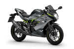 Pakiet SE Performance Ninja 125 Metallic Graphite Gray / Metallic Spark Black 2026