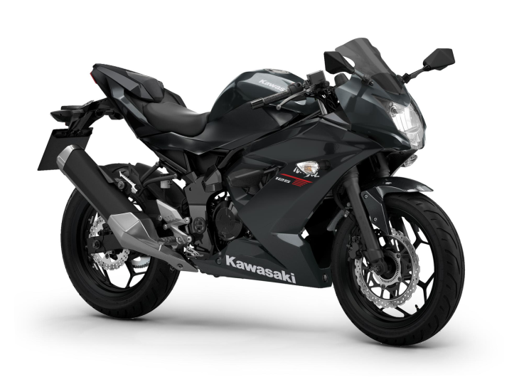Pakiet SE Sport Pack Ninja 125 Ebony / Metallic Carbon Gray 2026