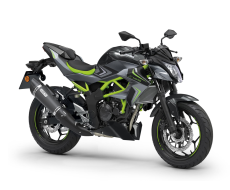 Pakiet SE Performance Z125 Pearl Storm Grey / Ebony 2026