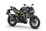 Pakiet SE Performance Z125 Pearl Storm Grey / Ebony 2026