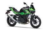 Accessories SE Performance Akrapovič Z500 Candy Lime Green / Metallic Carbon Gray 2026