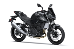 Пакет SE Performance Akrapovič  Z500 Ebony / Metallic Carbon Gray 2026