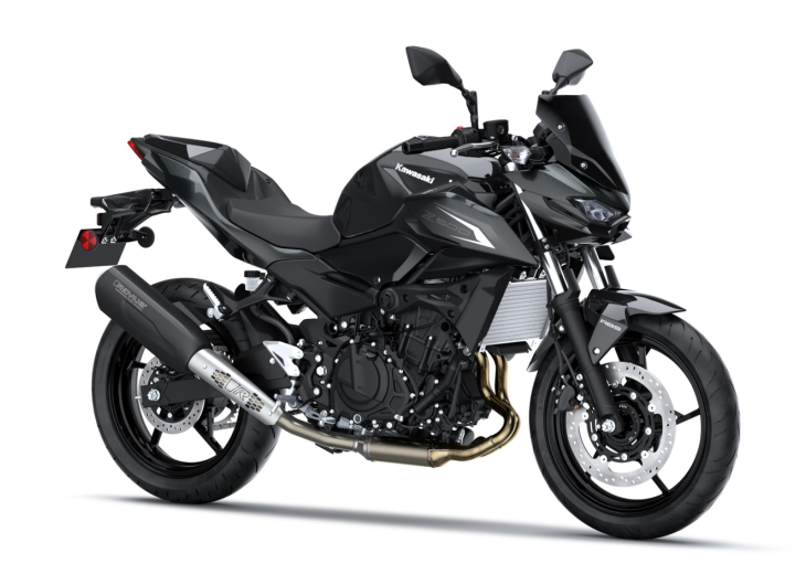 Пакет SE Performance Remus Z500 Ebony / Metallic Carbon Gray 2026