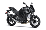 Pakiet SE Performance Remus Z500 Ebony / Metallic Carbon Gray 2026