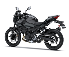 Pakiet SE Performance Remus Z500 Ebony / Metallic Carbon Gray 2026