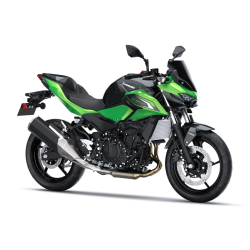 Пакет SE Sport Z500 Candy...