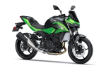 Пакет SE Sport Z500 Candy Lime Green / Metallic Carbon Gray 2026