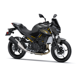 Accessories SE Sport Z500...