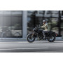 Eliminator 500SE 2026