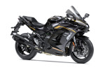 Accessories SE Performance Ninja H2 SX SE Metallic Brilliant Golden Black / Metallic Diablo Black 2026