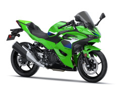 Pakiet SE Sport Ninja 500SE Lime Green 2026
