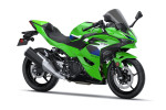 Пакет SE Sport Ninja 500SE Lime Green 2026