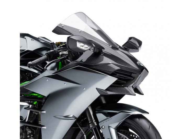 Карбоновий захист для Ninja H2 Kawasaki