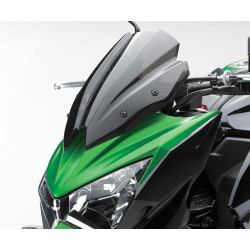 Smoke windscreen Z800 Kawasaki