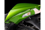 Накладка заднього сидіння Golden Blazed Green/Metallic Carbon Grey Kawasaki