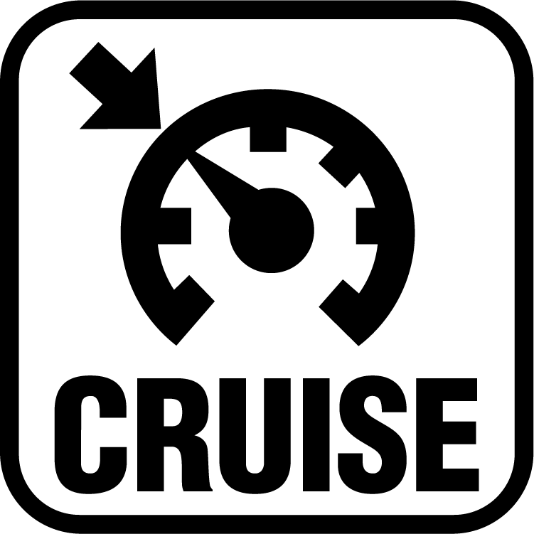 Electronic Cruise Control 